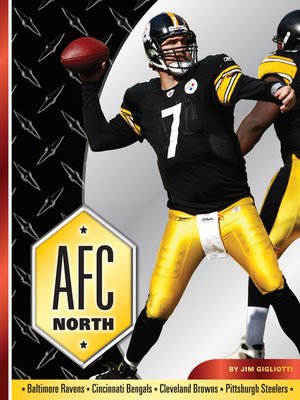 cover image of AFC North